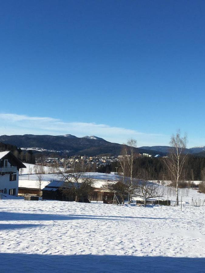 Ferienwohnung Pauli Zwiesel Kültér fotó